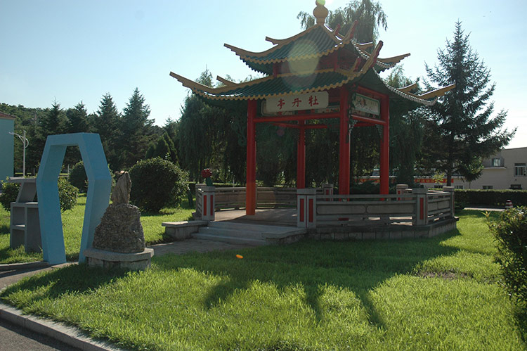 醫(yī)院一角2.jpg
